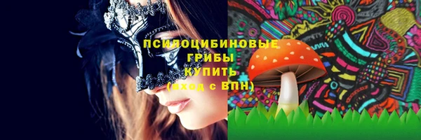 стафф Абдулино