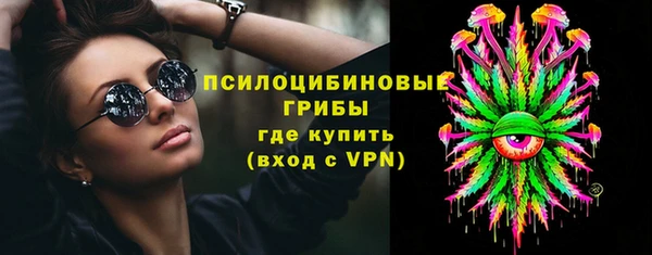 a pvp Абаза