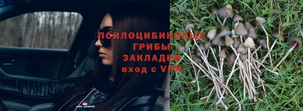 стафф Абдулино